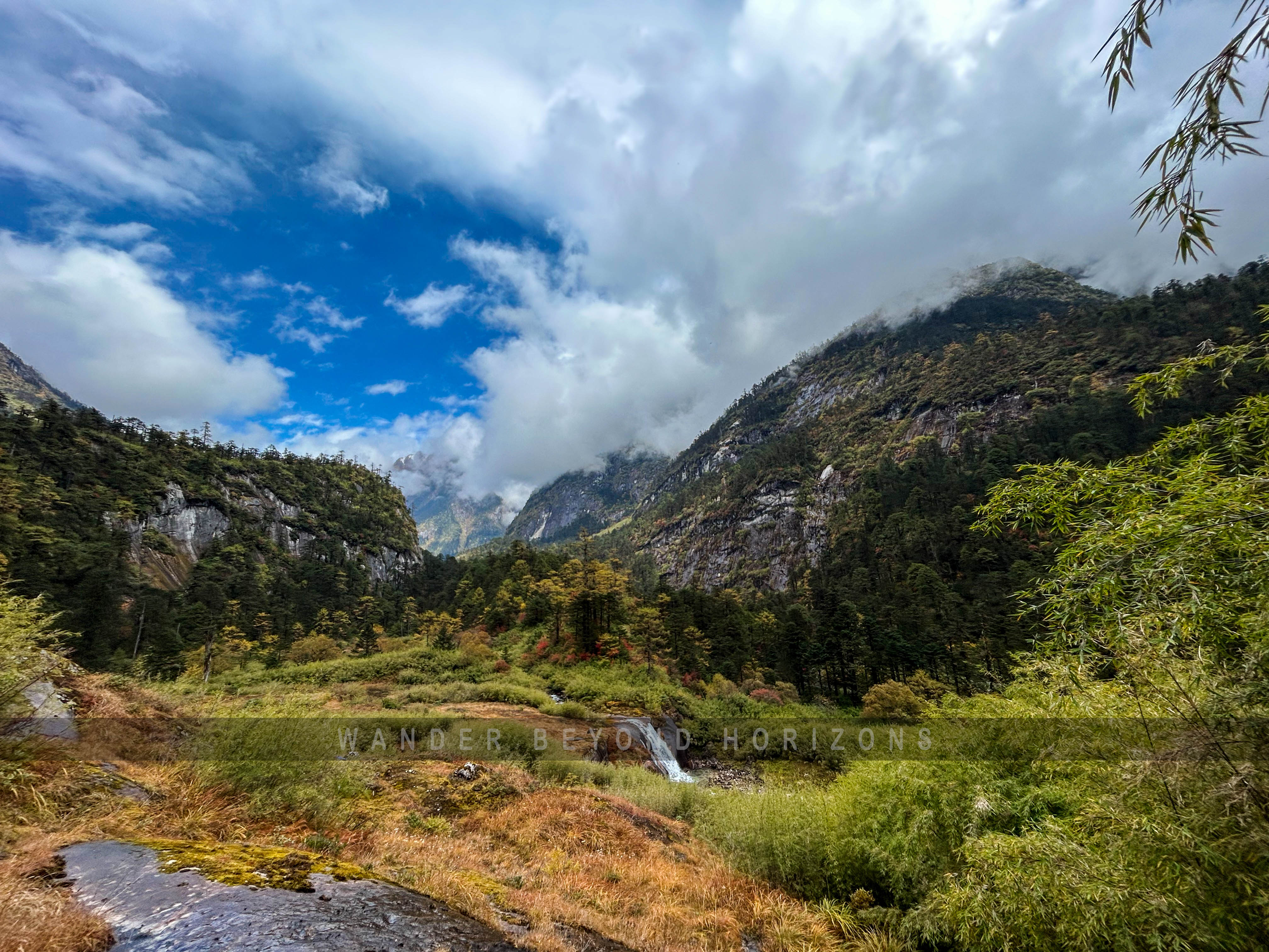 Anini & Pomo Grassland (2).jpg